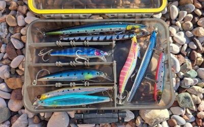 Best Saltwater Lures 2025: The Practical Guide