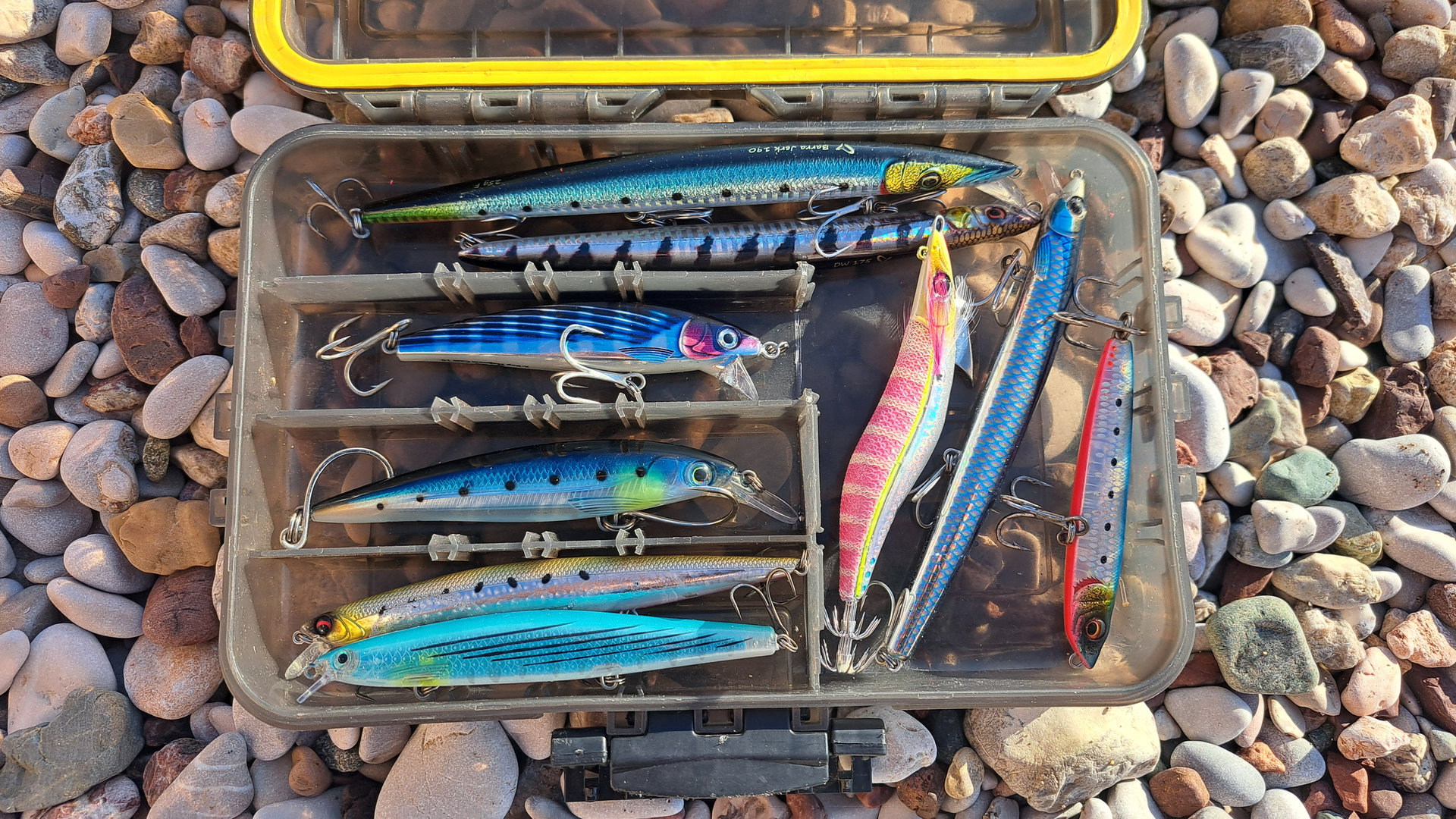 Best Saltwater Fishing Lures Featured Image