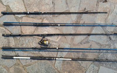 How to Choose the Best Saltwater Fishing Rods: A Field Guide