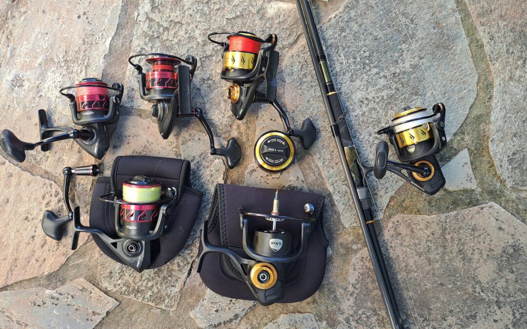 How to Choose the Best Saltwater Spinning Reels 2025
