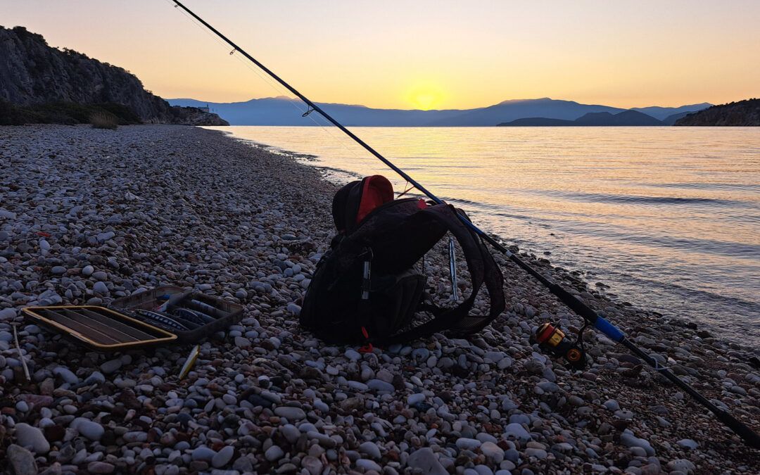 Saltwater Fishing Basics: Best Saltwater Fishing Techniques with Lures & Bait