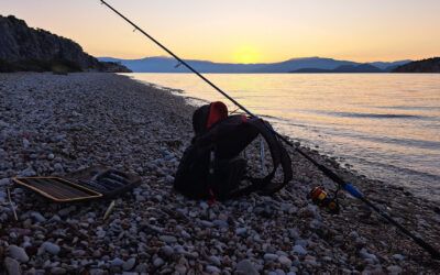 Saltwater Fishing Basics: Best Saltwater Fishing Techniques with Lures & Bait