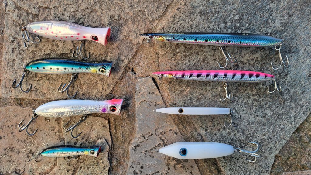 Saltwater Topwater Lures Image