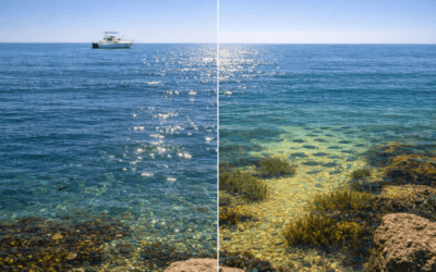 Best Polarized Sunglasses for Fishing: A Practical Shore-to-Boat Guide