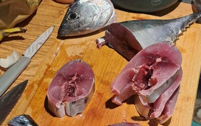 False Albacore Steaks Grilled Over High Heat With Olive Oil and Lemon