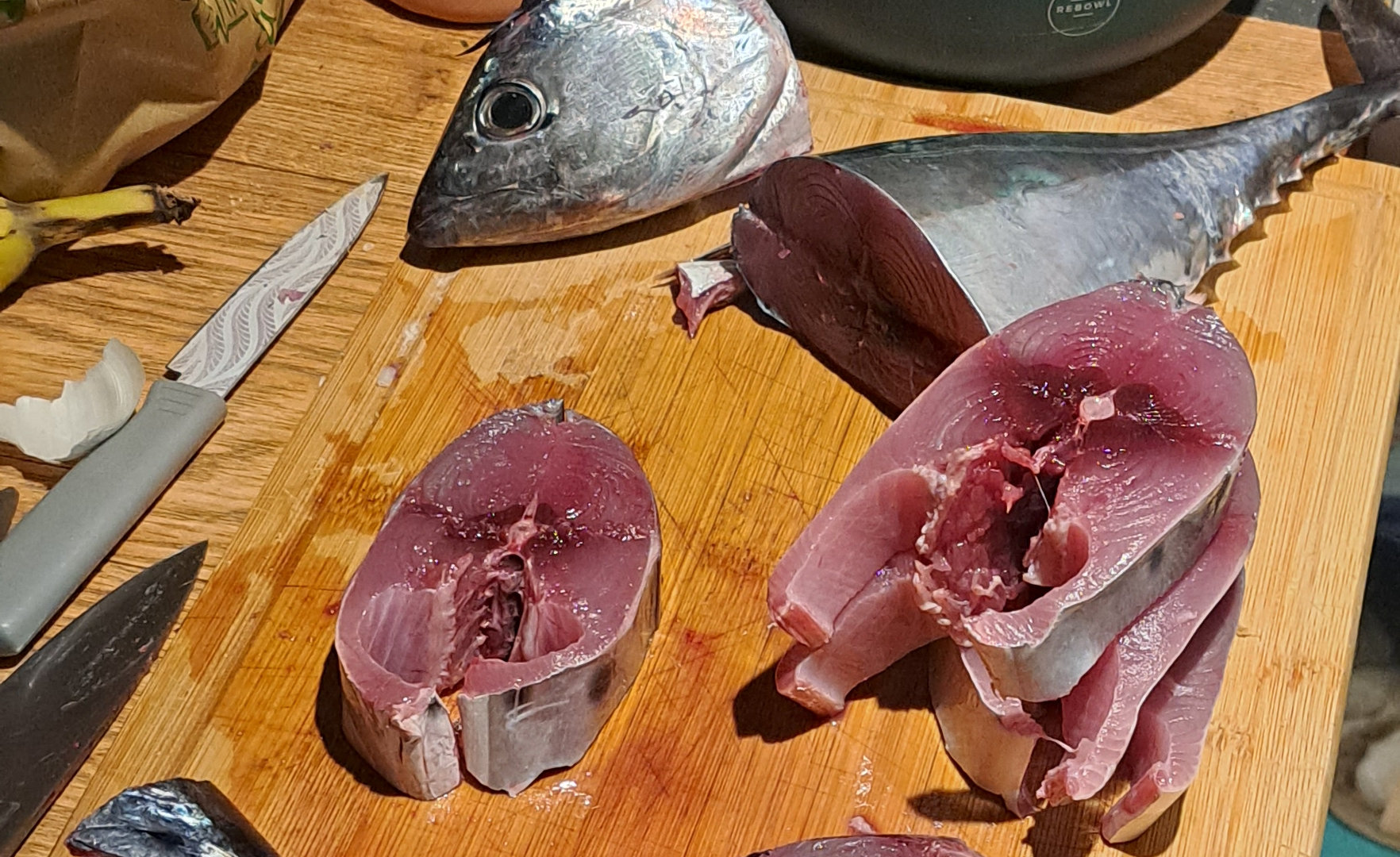 False albacore steaks featured image